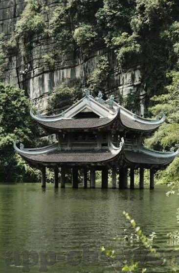 五队足球比分表-五队足球联赛激战正酣，深度剖析最新比分表背后的战术博弈与未来走势